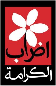 373047_313146128710043_1498568290_n